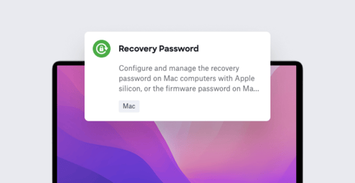 New Recovery Password Library Item Thwarts Unauthorized Startups