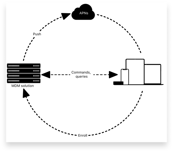 APNs diagram_shadow