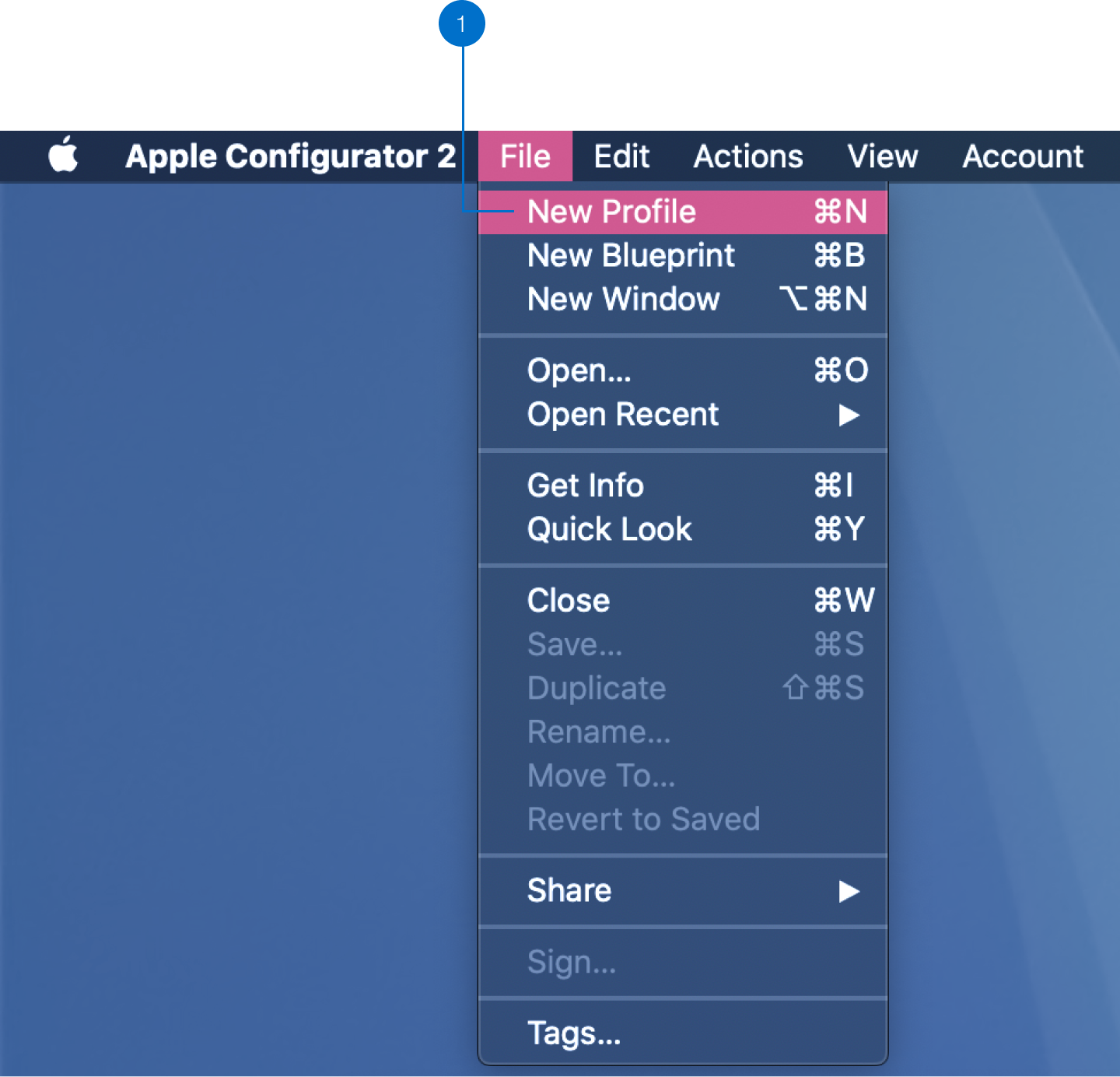 apple configurator invalid profile