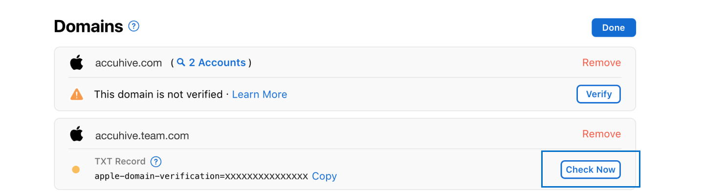 apple business manager account verify domain ownership check now