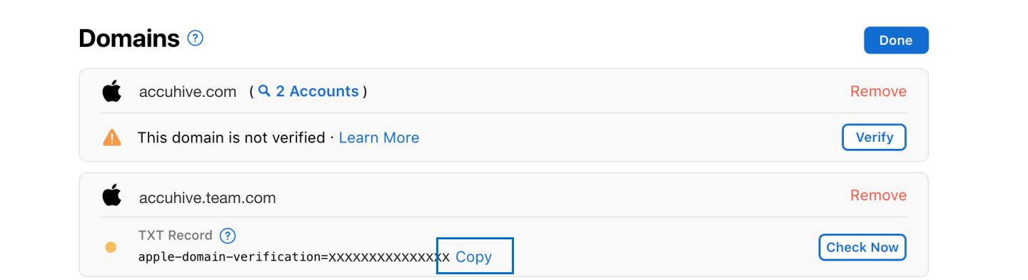 apple business manager account verify domain ownership copy txt