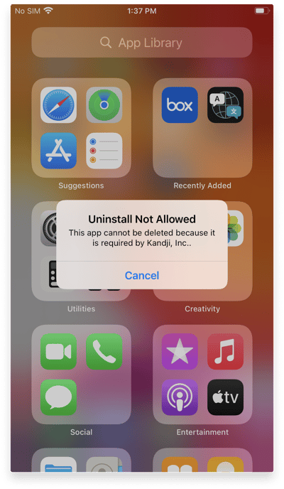 ios 14 non removable apps warning